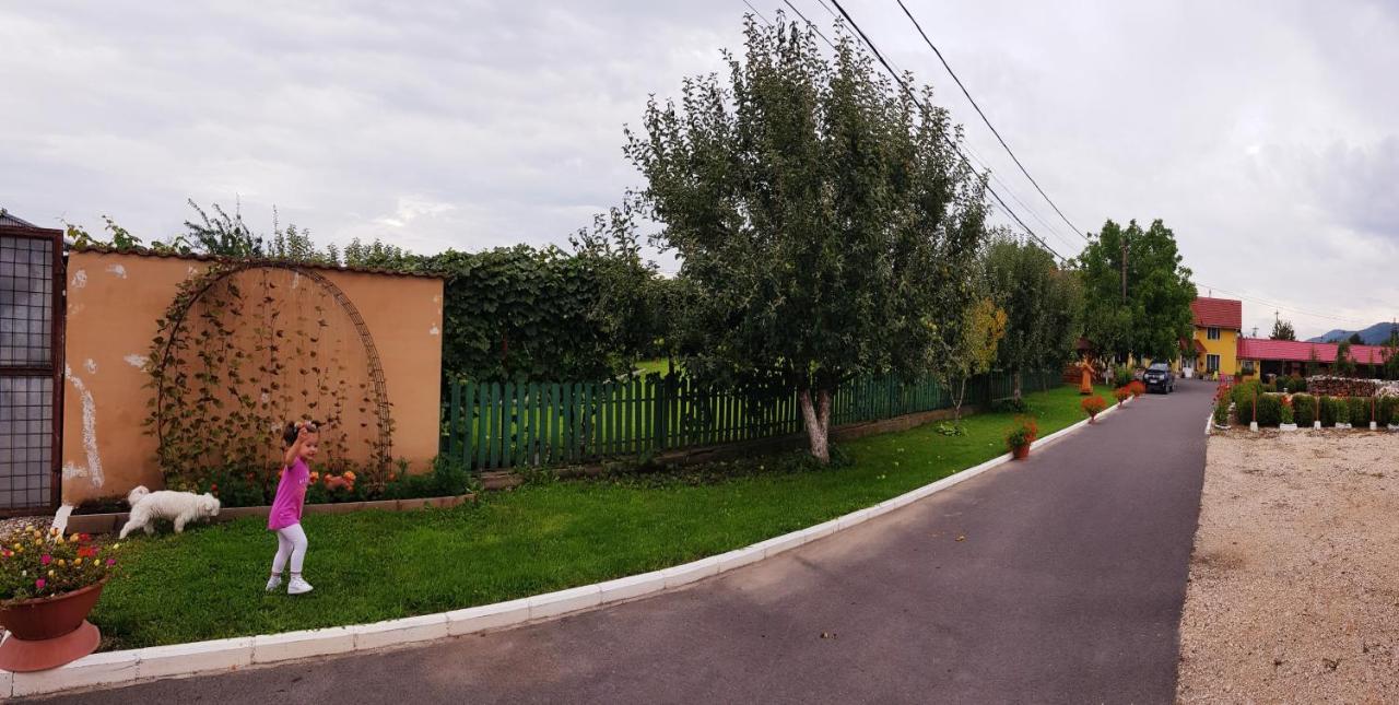 Cazare La Troita Hotel Codlea Exterior foto